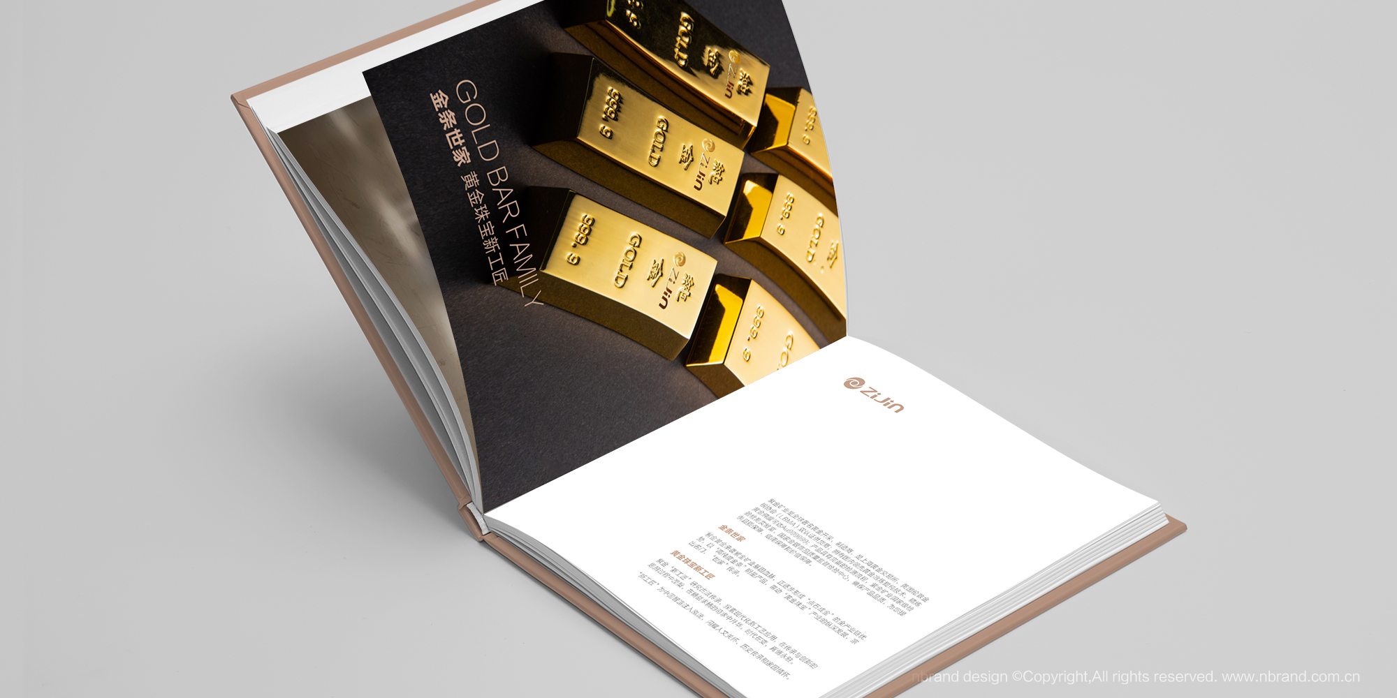 Ї500ϽVIFƷ󮋃aƷփOӋ