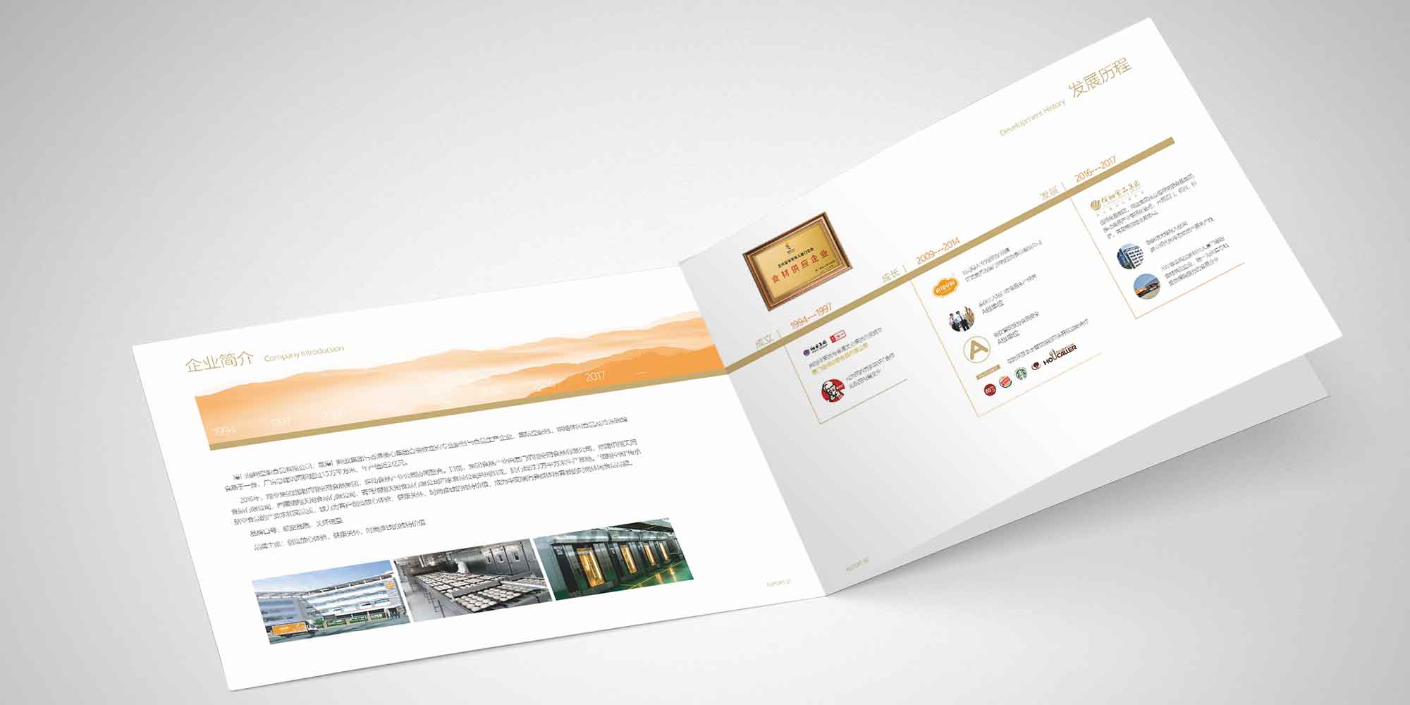 佰翔冷凍食品手冊(cè)目錄、折頁(yè)宣傳單頁(yè)、產(chǎn)品畫冊(cè)設(shè)計(jì)